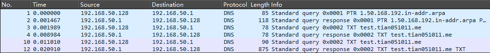 Wireshark捕获到了TCP格式的DNS查询与响应